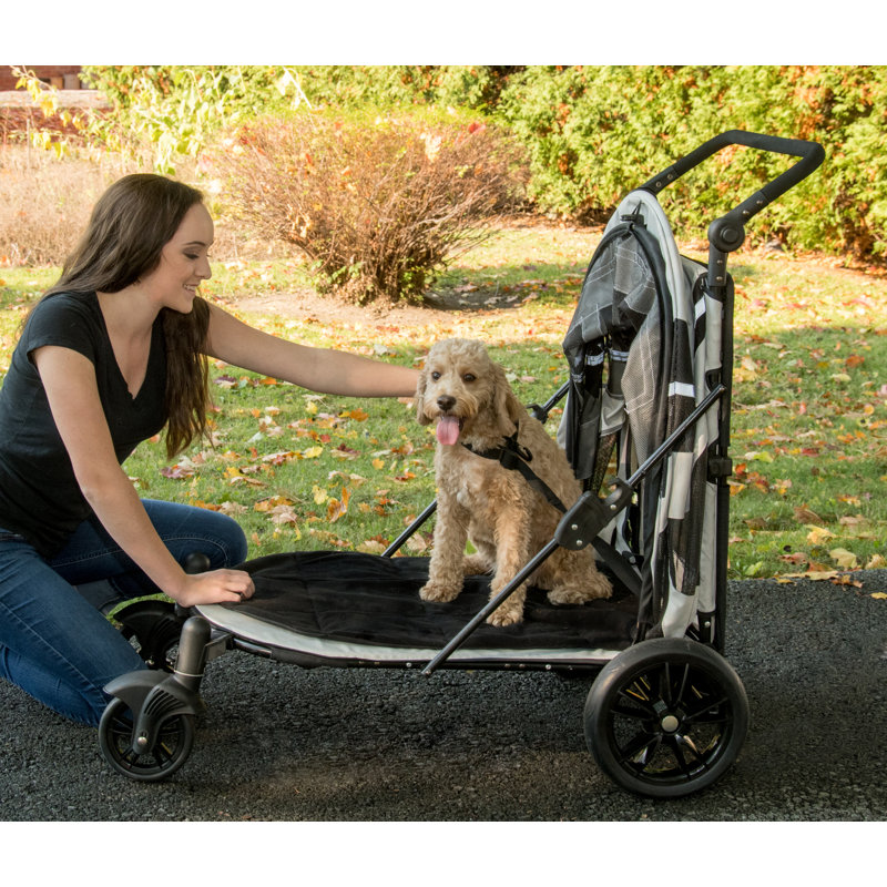 Pet Gear Expedition No Zip Standard Stroller & Reviews Wayfair